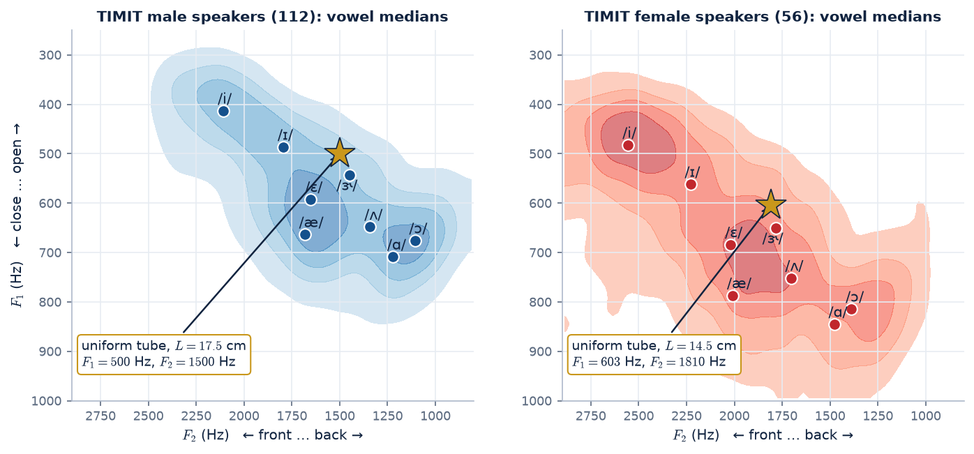 Median vowel formants of male and female TIMIT speakers over a shaded token density, with the uniform-tube prediction in the centre