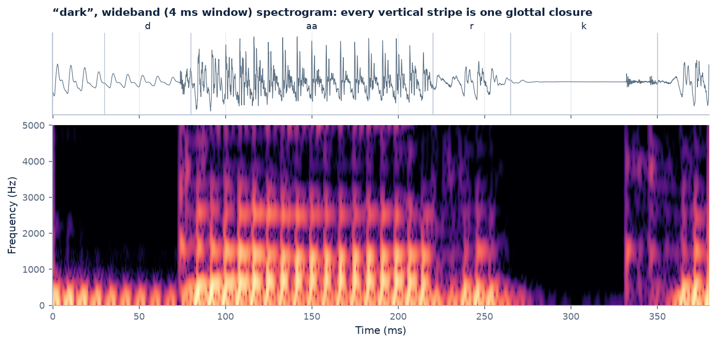 Waveform and wideband spectrogram of the word dark showing vertical striations, one per glottal pulse