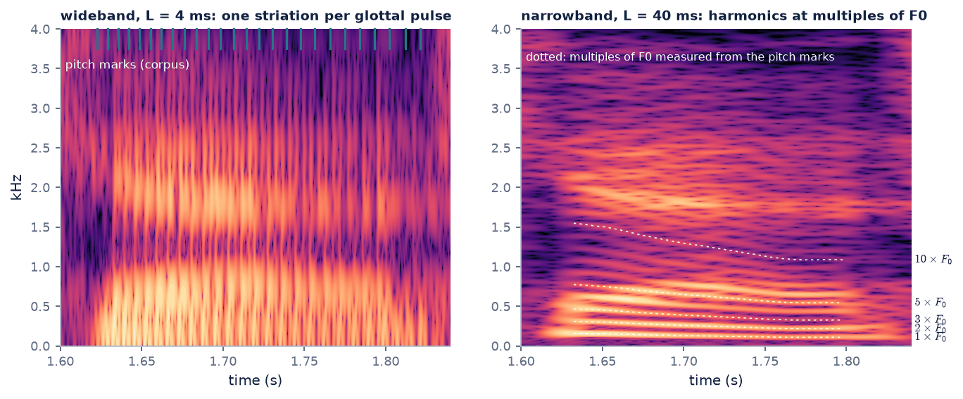 Close-up of the vowel in cash: striations with a 4 ms window and harmonics with a 40 ms window